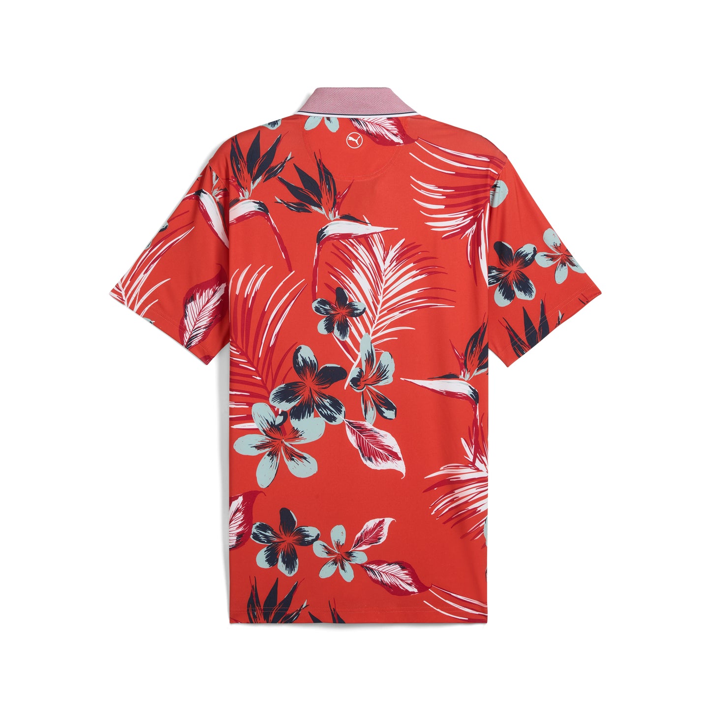 Red Fire / Modern Mint