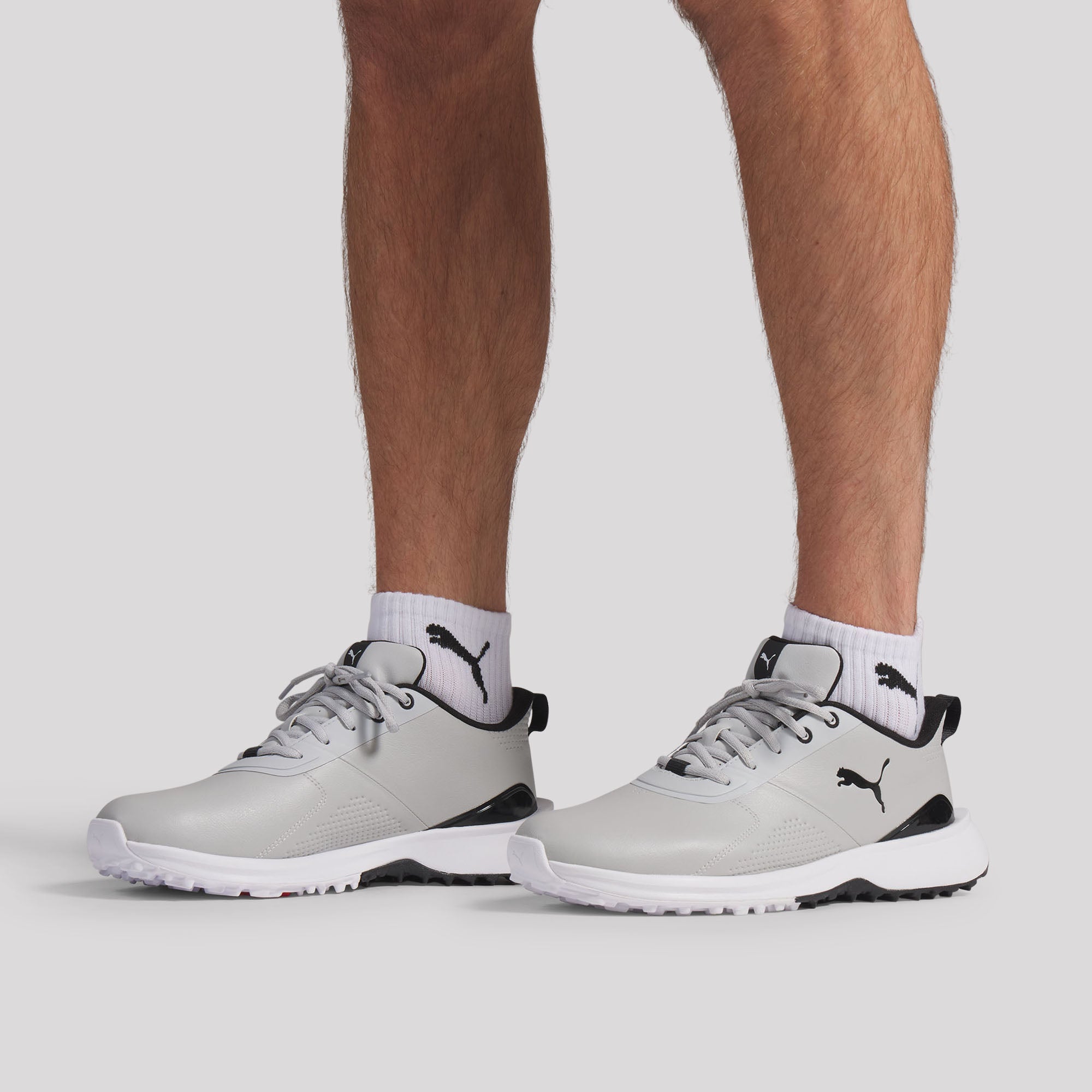 Ash Gray / Puma Black