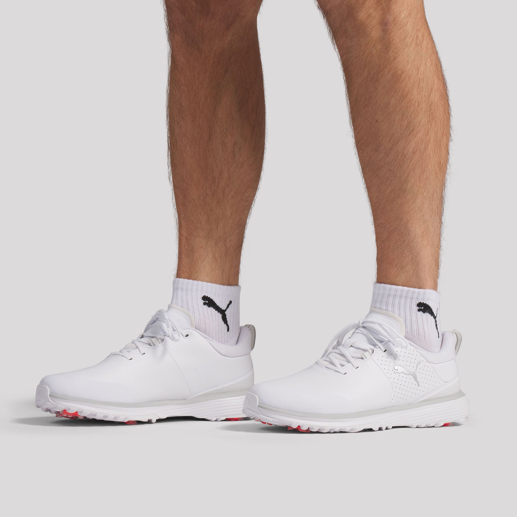 Puma White / Puma Silver / Ash Gray