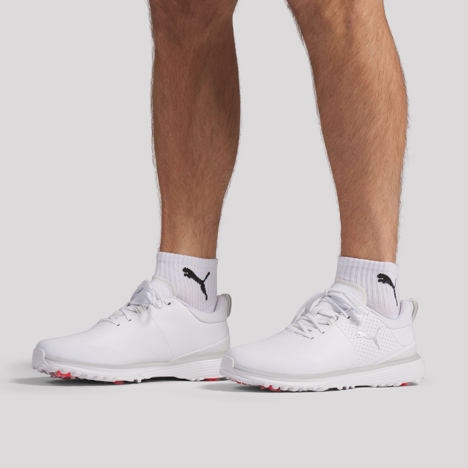 Puma White / Puma Silver / Ash Gray