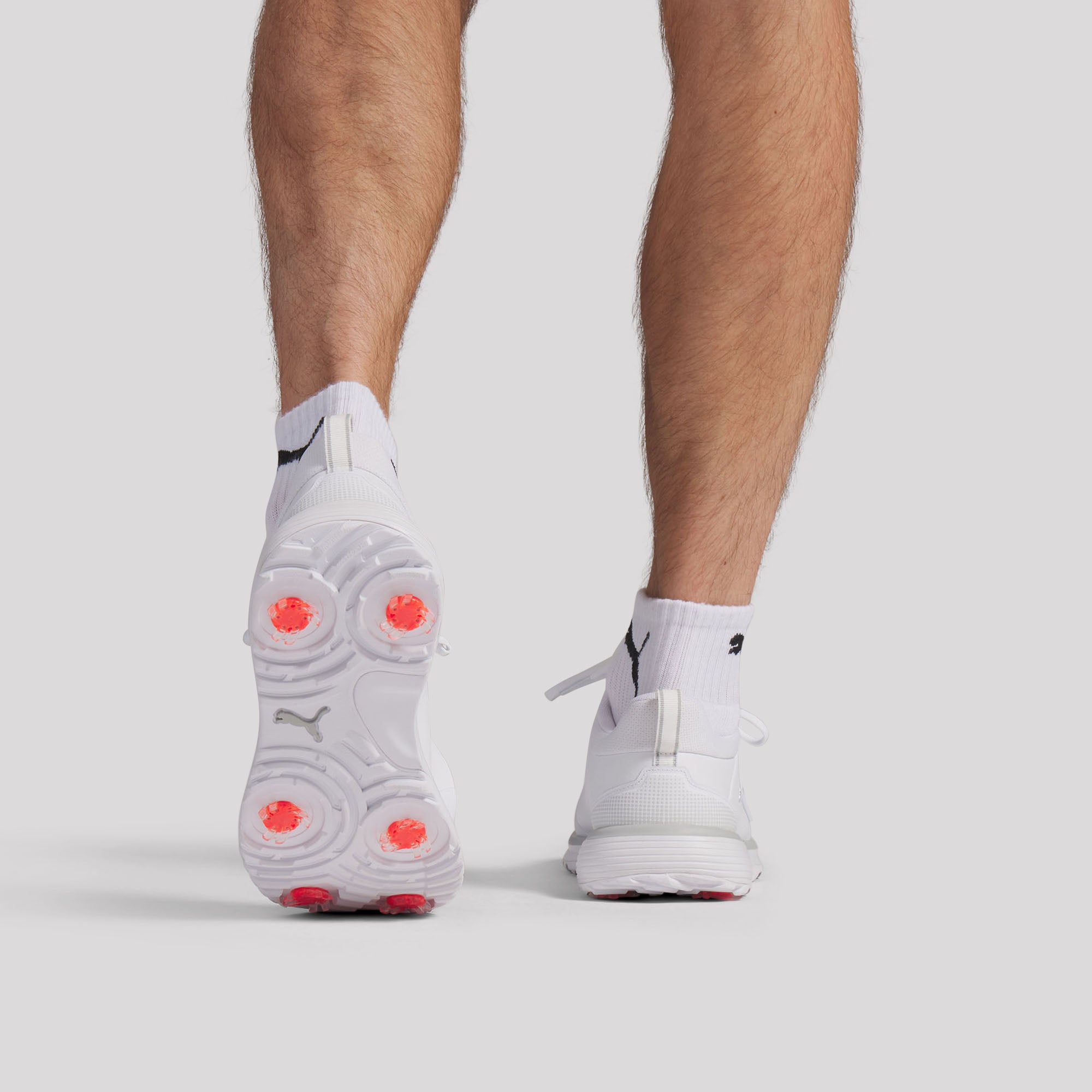 Puma White / Puma Silver / Ash Gray