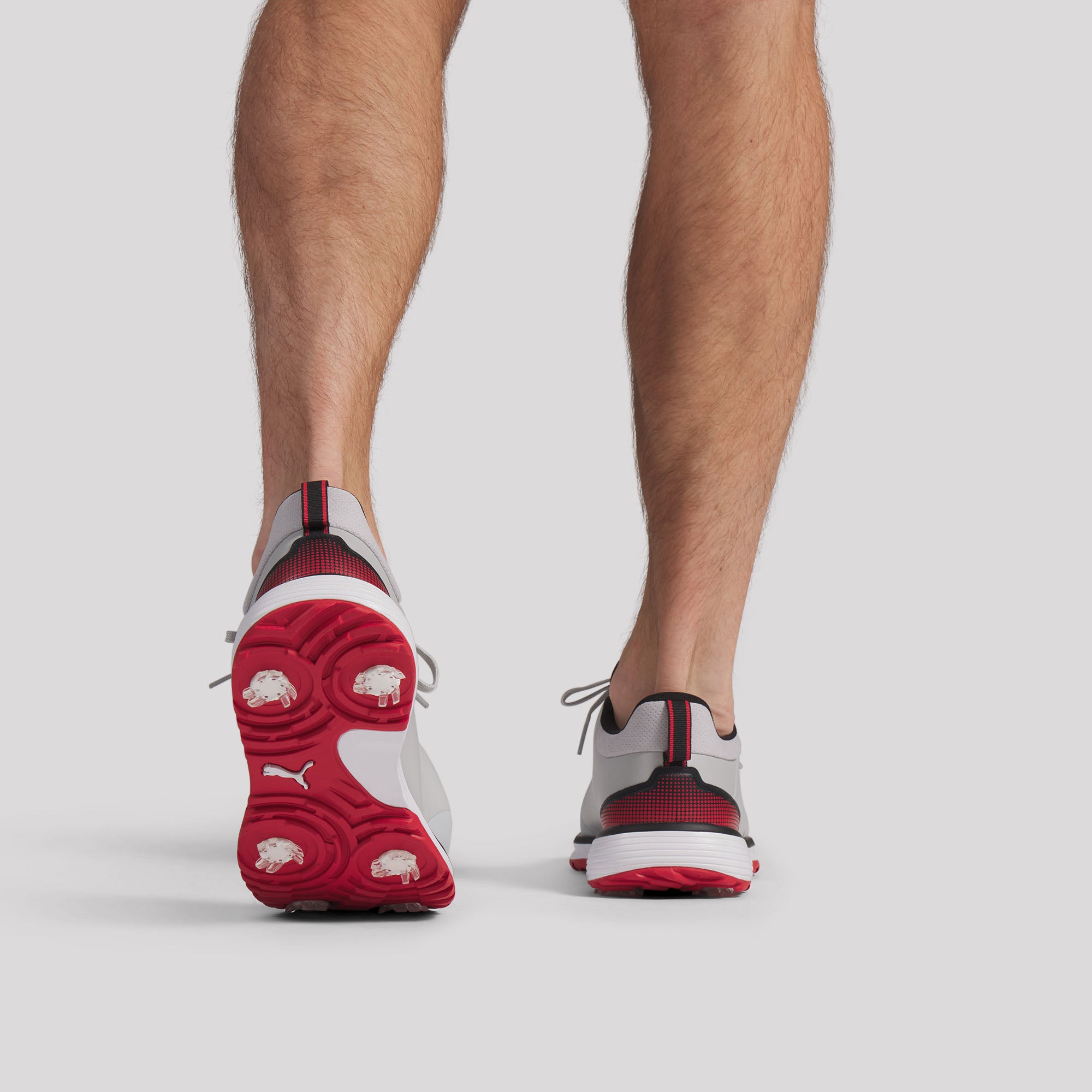 Ash Gray / Puma Black / Candy Apple