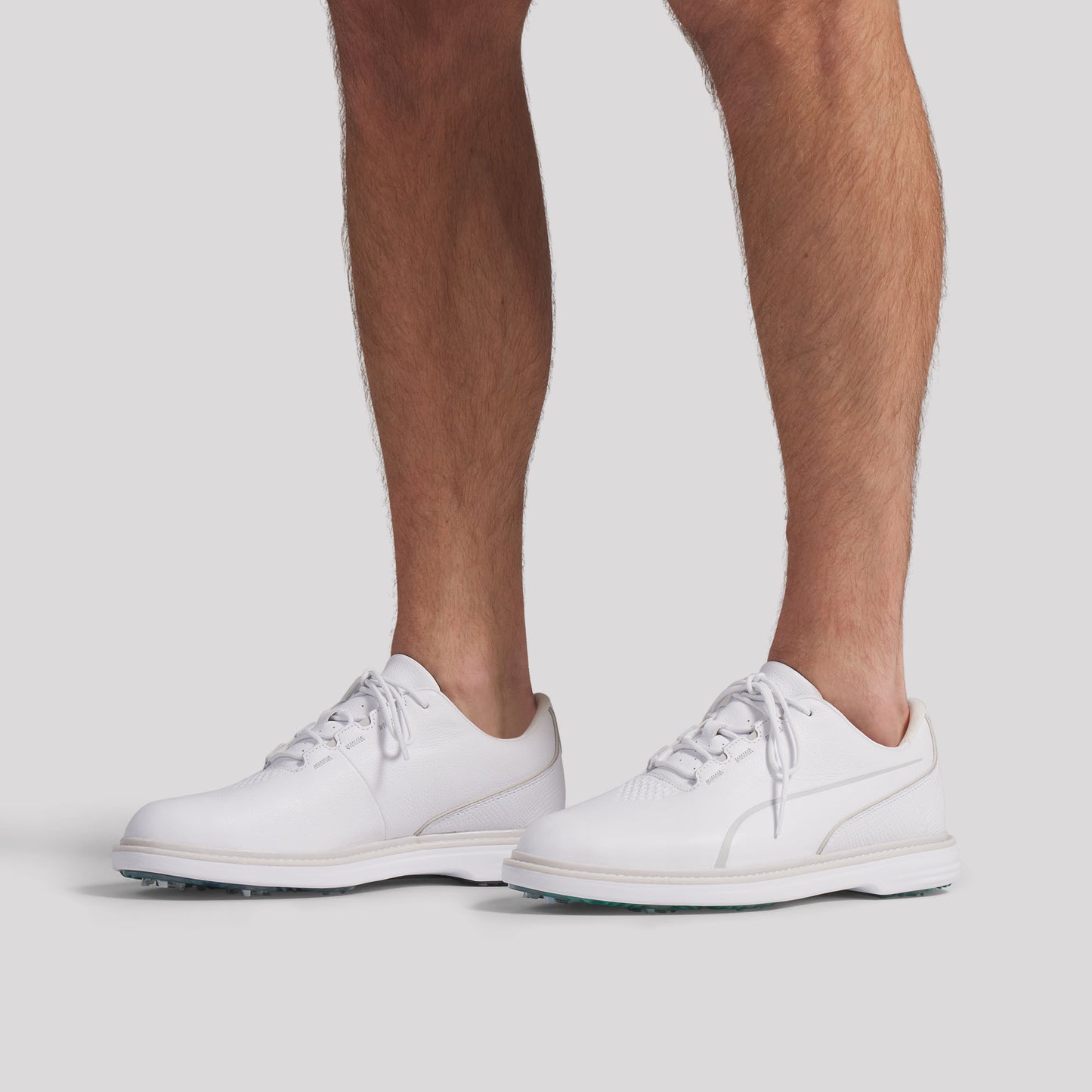 Puma White / Feather Gray