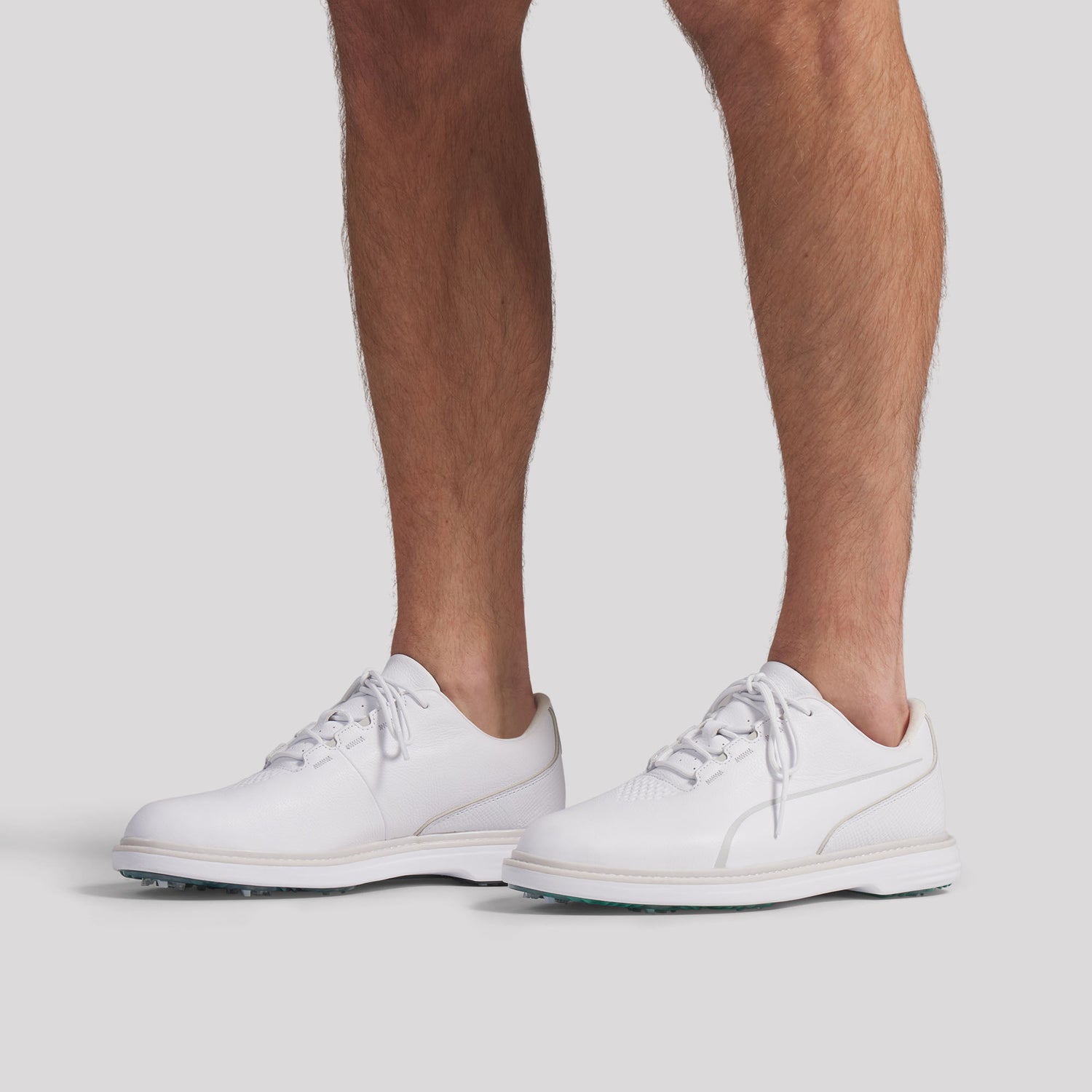 Puma White / Feather Gray