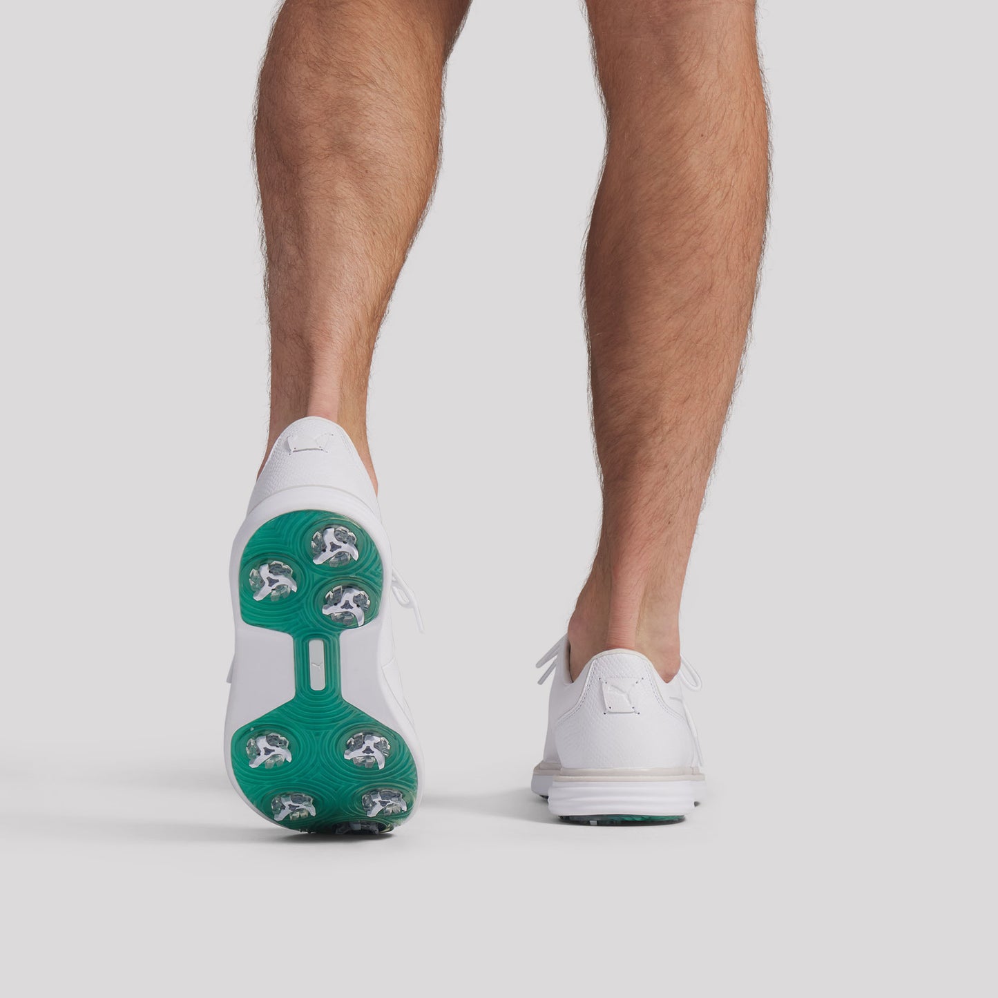 Puma White / Feather Gray