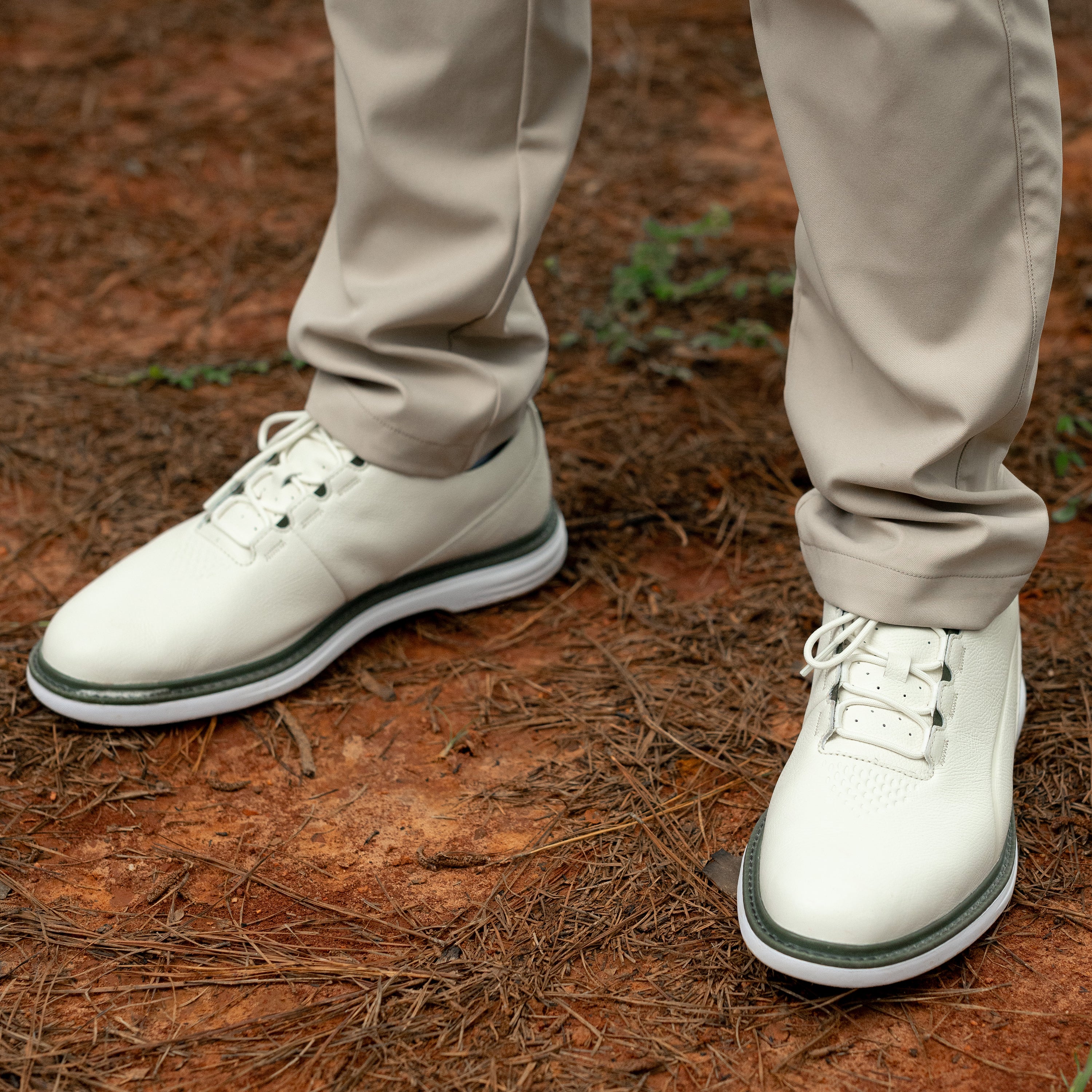 Warm White / Birch